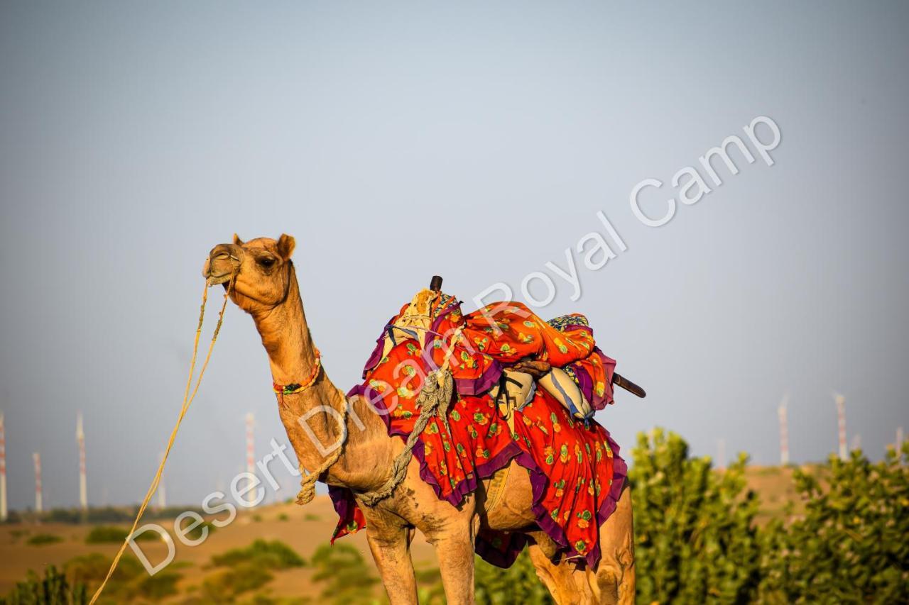 Desert Dream Royal Camp Ξενοδοχείο Jaisalmer Εξωτερικό φωτογραφία